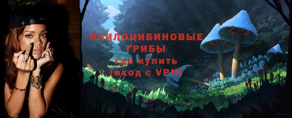 тгк Гусиноозёрск