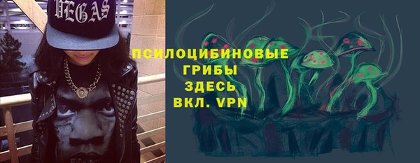 марки lsd Гусь-Хрустальный