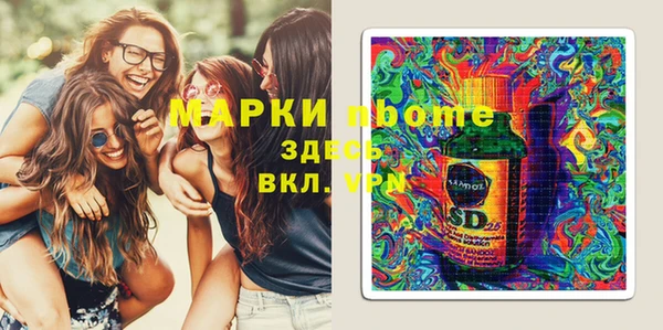 соль ск Дмитров