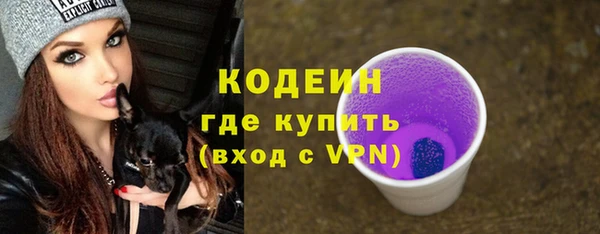 соль ск Дмитров