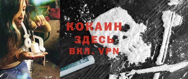 ПСИЛОЦИБИНОВЫЕ ГРИБЫ Гусев