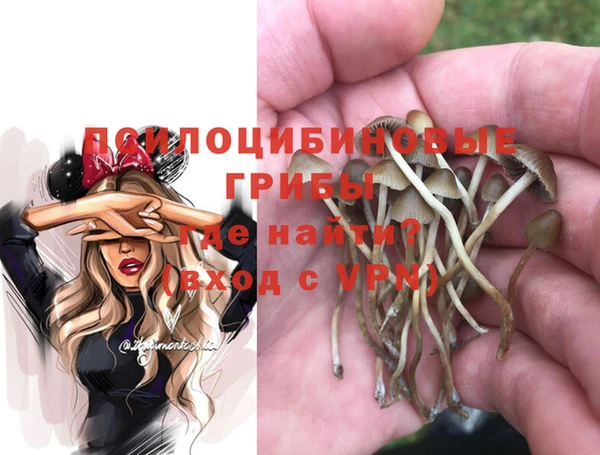 кристаллы Дмитриев