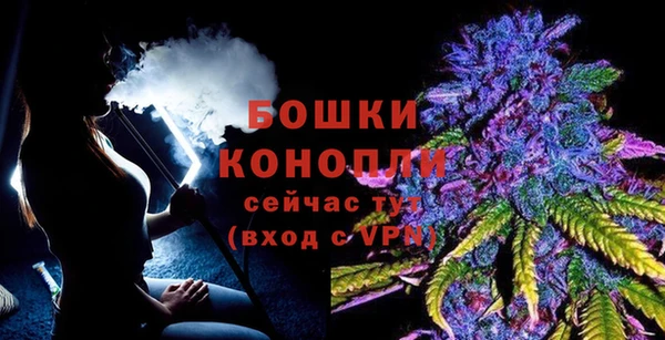 ПСИЛОЦИБИНОВЫЕ ГРИБЫ Гусев